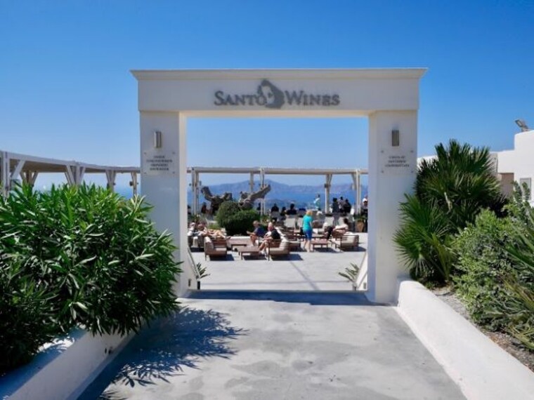 Wineries and Vineyards-3